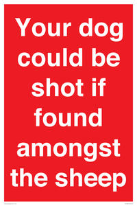 Your dog could be shot if found amongst the sheep